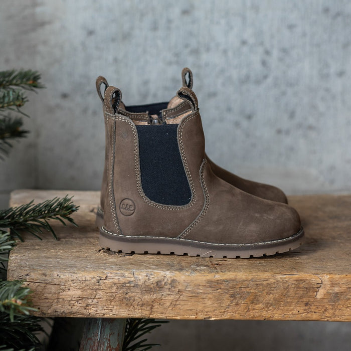 Brown winter Chelsea boot on a wooden bench with fir branches